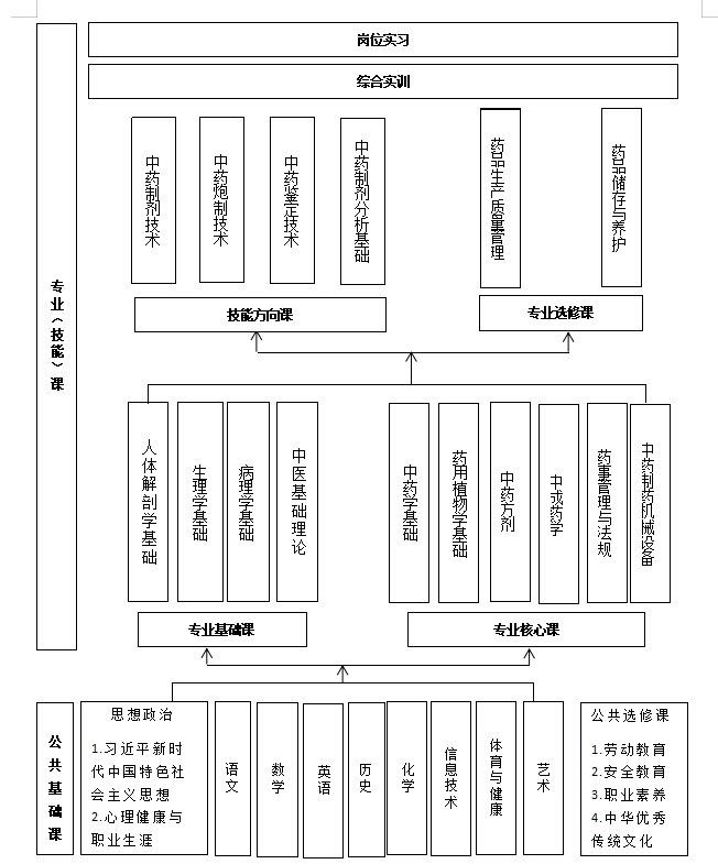 中药制药课程结构.jpg